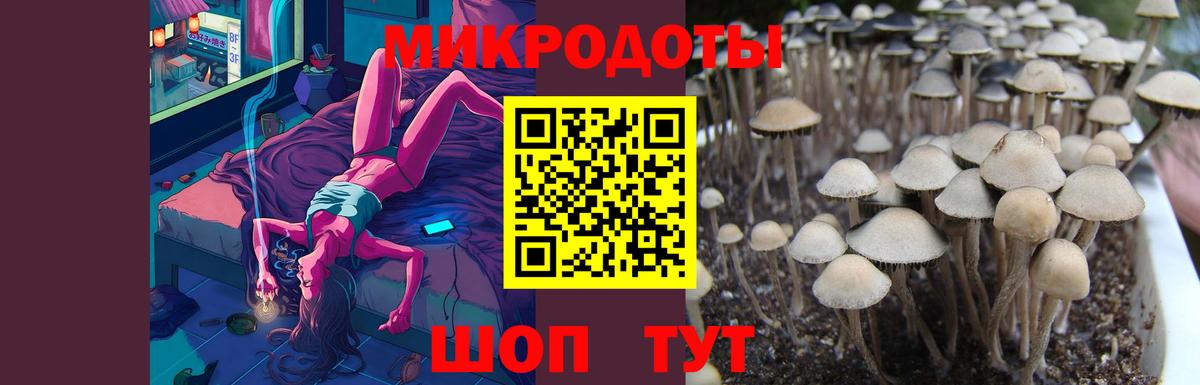 Ишимбай  Галлюциногенные грибы мицелий  Вход с VPN 